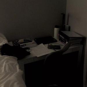 69人人操天天拍日日干台湾
